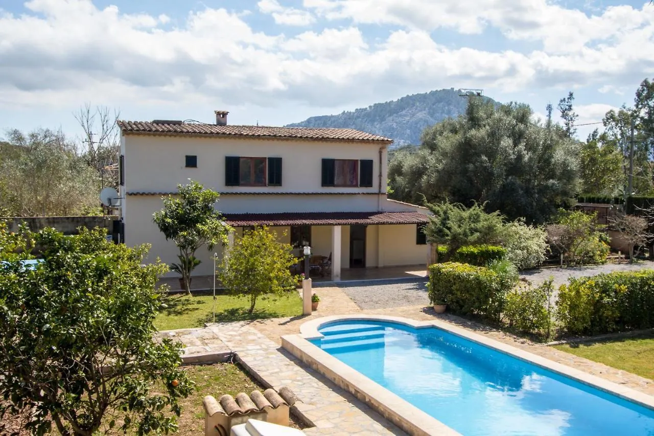 Feriehus Villa La Palmera By Homevillas360 Pollença Spanien